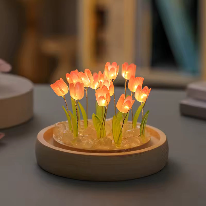 Jardin Lumineux